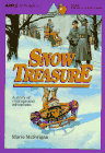 Snow Treasure