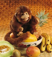 Monkey Puppet